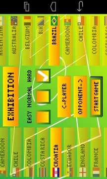 Pixel Soccer World Cup游戏截图2