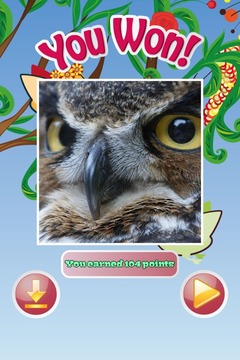 Birds World Puzzle游戏截图4