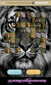 Big Cats Match游戏截图3