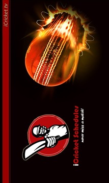 International Cricket Fixtures游戏截图3