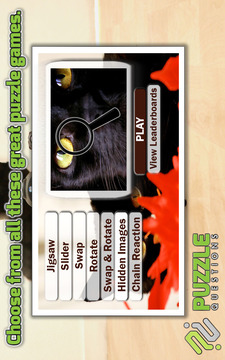 Free Black Cat Puzzles游戏截图1