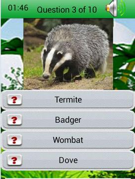 Kids Learning : Wild Animals游戏截图3