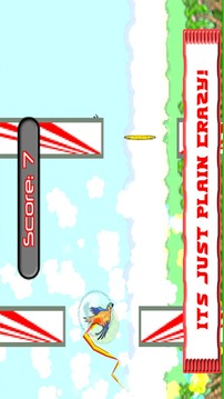 Animal Run: Flapping Frenzy!游戏截图2