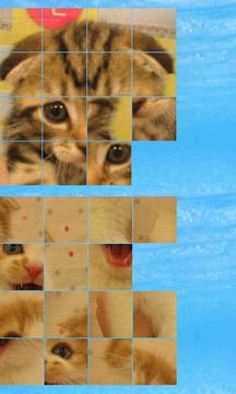 puzzle cat b(4x4)游戏截图2