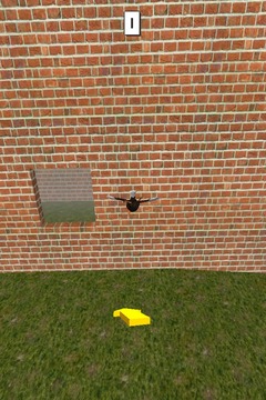 Fly Bird Fly 3D游戏截图2