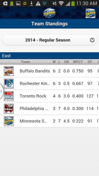 Minnesota Swarm Lacrosse游戏截图4