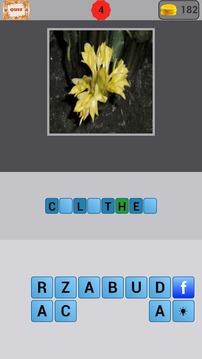 Flowers Quiz游戏截图4
