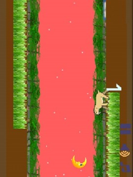 Hungry Tiger Eats游戏截图4