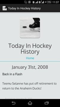 Today In Hockey History游戏截图1