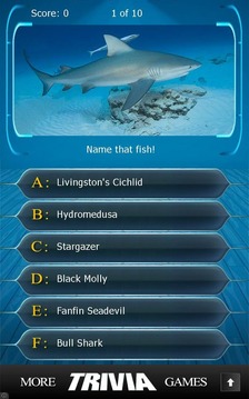 Name that Fish Trivia游戏截图1