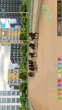 Pick Horse Racing游戏截图3