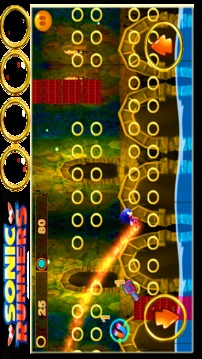 jungle Sonic temple runner游戏截图3