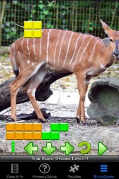 Zoo Animals Story游戏截图4