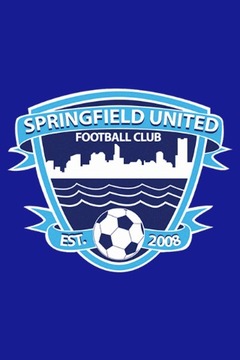 Springfield United FC游戏截图1