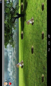 Squirrel Hunter Game游戏截图3