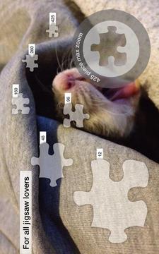 Family Pet Jigsaw Puzzles游戏截图2