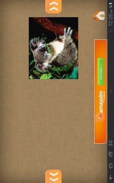 Fun Free Kids Jigsaw Puzzles游戏截图2