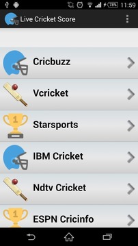 Live Cricket Score/World Cup游戏截图1