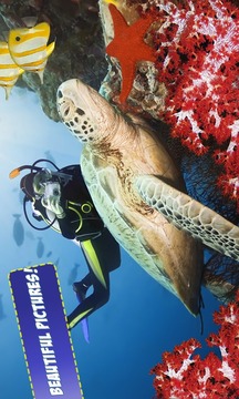 Free Coral Reef Jigsaw Puzzles游戏截图2