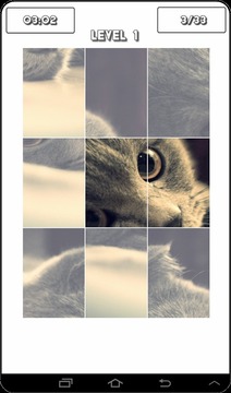 Cat Puzzles游戏截图5