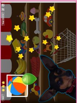 Zula the Dog - Virtual Pet游戏截图2
