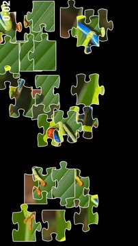 Frog Jigsaw Puzzles游戏截图2