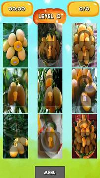 Marian plum Jigsaw Puzzles游戏截图2