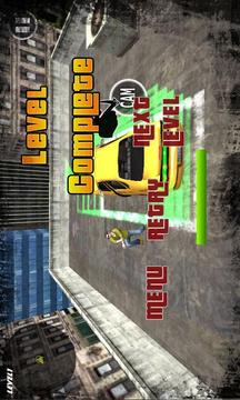 Roof Driver Simulation 3D游戏截图5