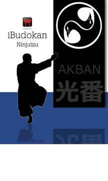 Ninjutsu Free游戏截图1