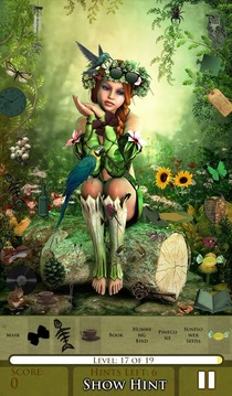 Hidden Object - Fairy Wonder游戏截图2