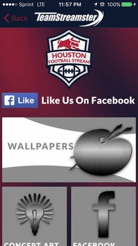 Houston Football STREAM游戏截图5