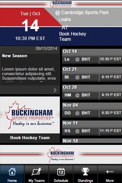 Buckingham Sports游戏截图2