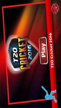 IPL T20 Cricket 2015游戏截图2