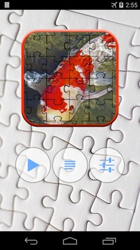 Koi Jigsaw Puzzle游戏截图1