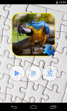 Parrot Jigsaw Puzzle游戏截图1