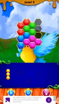 Bird Hexa Puzzle Classic游戏截图2