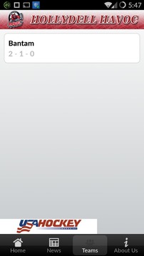 Hollydell Havoc游戏截图3