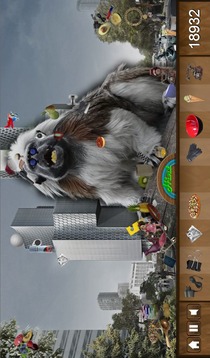 Hid Obj Animals Gone Wild Free游戏截图1