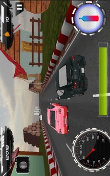 Car Racing Mania 2015游戏截图2