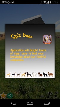 Quiz dogs游戏截图3