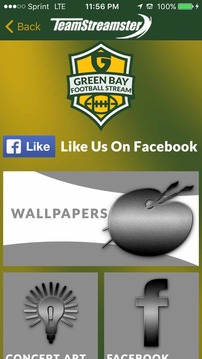 Green Bay Football STREAM游戏截图5