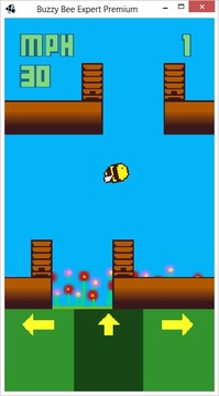 Buzzy Bee Expert游戏截图4