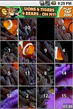 iSlider Aquarium Fish Puzzles游戏截图1