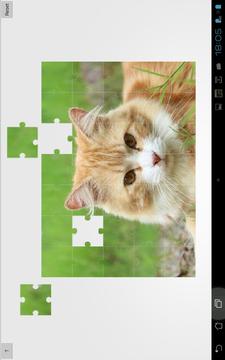 Cats and Kittens Jigsaw Puzzle游戏截图2