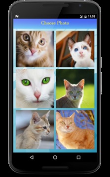 Cute Cat Puzzle游戏截图4