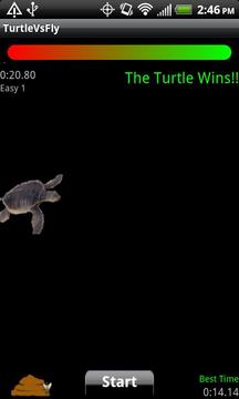 Turtle Vs Fly Lite游戏截图2