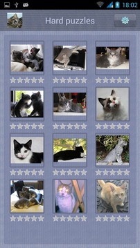 Cat Puzzle for Kids游戏截图1