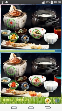 Photo Hunt Japanese Food游戏截图4