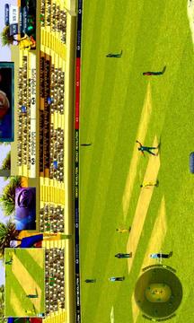 Cricket Ultimate游戏截图3
