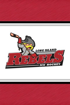 Long Island Rebels Hockey游戏截图2